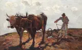 Rudolf Schweitzer–Cumpăna, Român cu plugul
