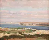 Rodica Maniu, Marină