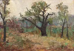 Paul Atanasiu, Luminiș, 1975, ulei pe carton