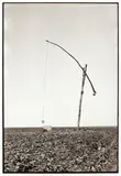 Decebal Scriba & Pavel Ilie, Bărăgan, lambda print după silver gelatin print original
