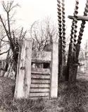 Mihai Oroveanu, Fluturi (Grădina lui Apostu), fotografie analogică
