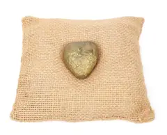Ion Nicodim, Inima, bronz