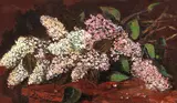 Flori de liliac by Octav Băncilă, ulei pe pânză, sold Mar 2018
