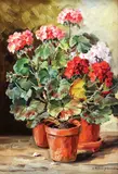 Ghivece cu mușcate by Elena Müller-Stăncescu, ulei pe carton, sold Mar 2018
