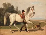 Emil Volkers, Zi de concurs