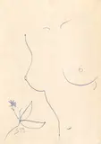 Sabin Bălașa, Nud, pix pe hârtie