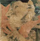 Christian Paraschiv, Roumanie