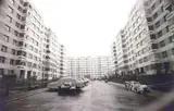 Ion Grigorescu, Colentina la început