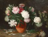 Pierre Auguste Bellet, Bujori