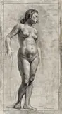 Camil Ressu, Studiu de nud, creion pe hârtie