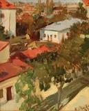 Corneliu Baba, Vedere din Timișoara