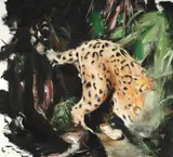 Sergiu Laslo, Camouflage, 2017, ulei pe pânză