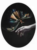 Otilia Cadar, Butterfly, acrilic pe pânză