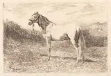 Armăsar by Theodor Aman, 1879, acvaforte și gravură cu acul, sold Jun 2017