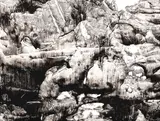 Vincentiu Grigorescu, Labirint fluid