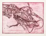 Mircia Dumitrescu, Raci, 2003, acvaforte, acvatintă