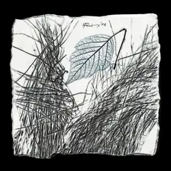 Daniela Fainis, Ierbar, 2009, porţelan modelat manual, incizat, desenat şi pictat cu oxizi şi pigmenţi de temperatură înaltă; parţial glazurat cu glazură transparentă; temperatura de ardere 1340 C