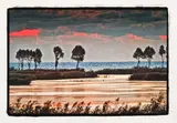 Dinu Lazăr, Dimineaţa la mare, 2004, print digital cu printer Epson 4900 şi cerneală Epson UltraChrome® HDR pe hârtie de înaltă calitate Epson Traditonal Photo Paper