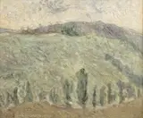 Paul Gherasim, Coline