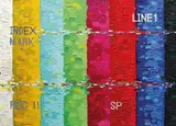 Florin Ciulache, Index Mark, 2004, ulei pe pânză