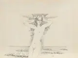 Mihai Rusu, Afrodita
