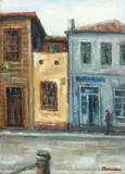 Marius Bunescu, Case la Sulina