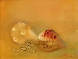 Obiecte înconjurătoare by Margareta Sterian, ulei pe PFL, offered Feb 2017