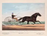 Nathanial Currier & James Ives, Armăsarul Dan Rice, litografie în culori