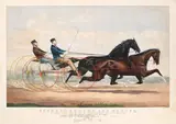 Nathanial Currier & James Ives, Hipodrom (Dexter & General Butler), litografie în culori