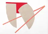 Geta Brătescu, The Power of the Line