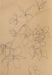Flori by Sabin Bălașa, pix pe hârtie, sold Nov 2016