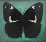 Fluture de noapte by Viorel Mărginean, 1988, ulei pe pânză, offered Nov 2016