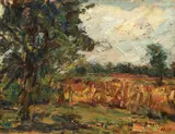 Rudolf Schweitzer–Cumpăna, Lanul de grâu