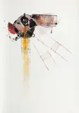 Geta Brătescu, Canzone II