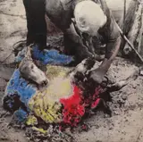 Christian Paraschiv, La Roumanie
