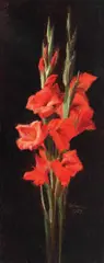 Denise Iordănescu, Gladiole, 1929, ulei pe carton