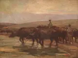 Jean Neylies, Întoarcerea bivolilor