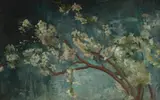 Ipolit Strâmbu, Ramuri de cireș