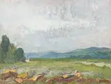 Alexandru Ciucurencu, Peisaj de primăvară