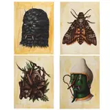 Saddo, The Moth, the Bats, Osiris, Orcus, 2014, acrylic on paper