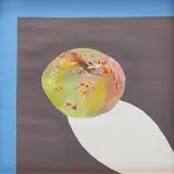 Gili Mocanu, The Apple, 2005, acrylic on paper