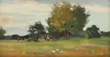 Aurel Băeșu, La pădure