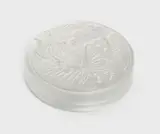 Verlys, Casetă cu capac, din sticlă Verlys, decorată cu fluturi, cca. 1930, sticlă suflată în formă, sablată