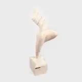 Marcel Guguianu, Elan