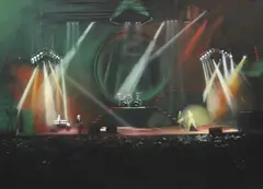 Anda Cofaru, Live on canvas, acril pe pânză