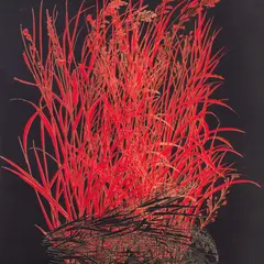 Malle Leis, Õhtust õhtusse, hommikust hommikusse, 1992, Serigraafia