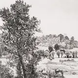 Eduard Wiiralt, Maastik hobustega (Burgundia maastik), 1947, Ofort