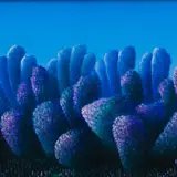 Toomas Vint, Maastik, 1999, Õli, lõuend