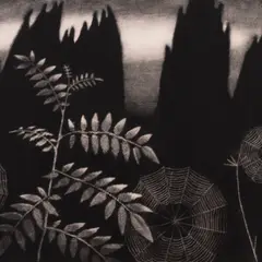 Kaljo Põllu, Eesti maastik, 1976, Metsotinto