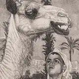 Eduard Wiiralt, Berberi tüdruk kaameliga, 1940, Pehmelakk